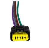 Enchufe Conector Para Citroen 5 Pines