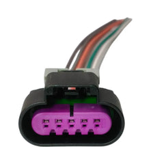 Conector Enchufe 5 Pines