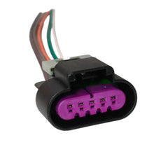 Conector Enchufe 5 Pines