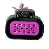 Conector Enchufe 10 Pines