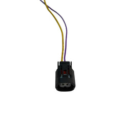 Enchufe Conector Automotriz 2 Pines