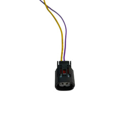 Enchufe Conector Automotriz 2 Pines
