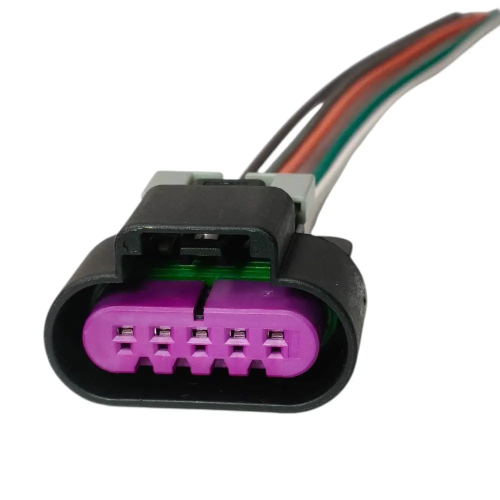 Conector Enchufe 5 Pines