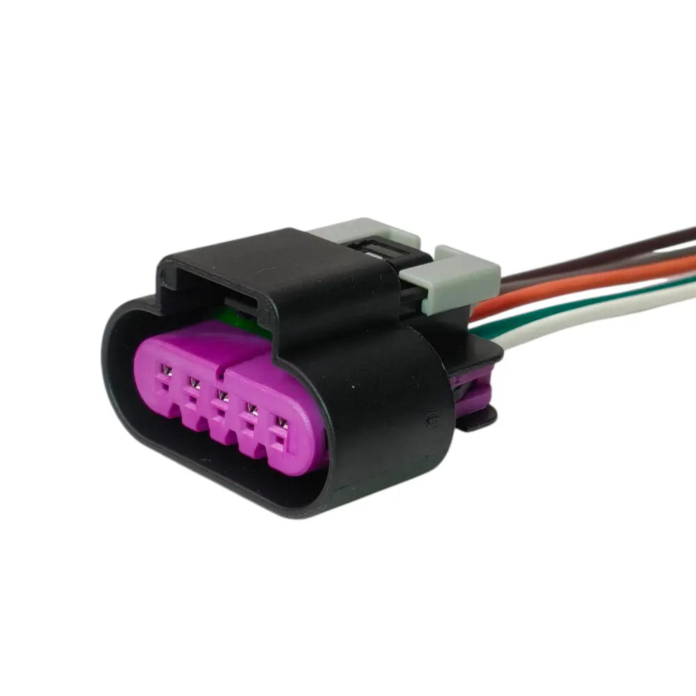Conector Enchufe 5 Pines